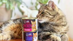 John Dog For Cats mus Kurczak 200g