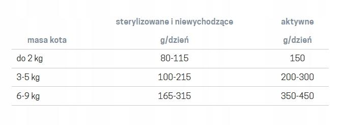 Jane Cat karma mokra wołowina 200g