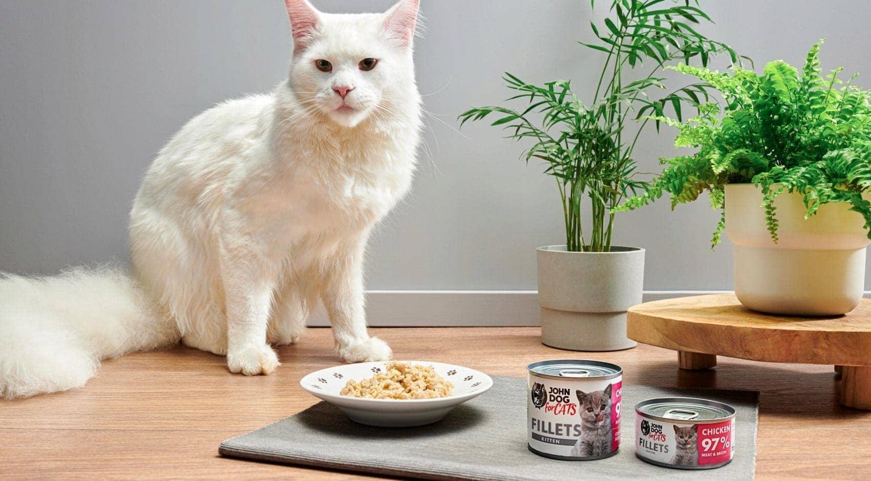 JOHN DOG FOR CATS FILETY KURCZAK dla kociąt 70g