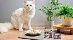 JOHN DOG FOR CATS FILETY KURCZAK dla kociąt 70g